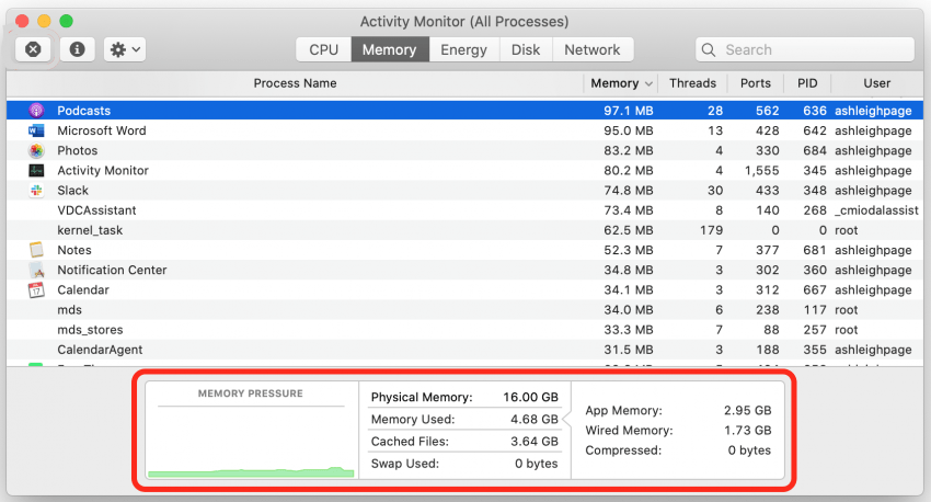 Check RAM Usage with Activity Monitor